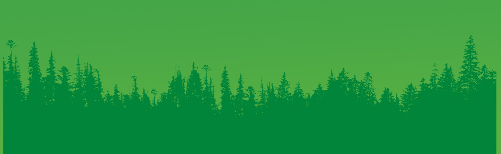 trees v2